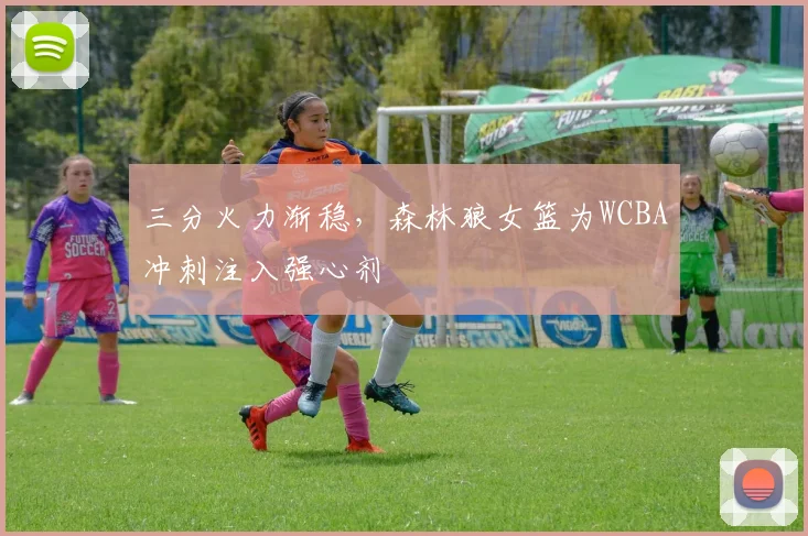 三分火力渐稳，森林狼女篮为WCBA冲刺注入强心剂