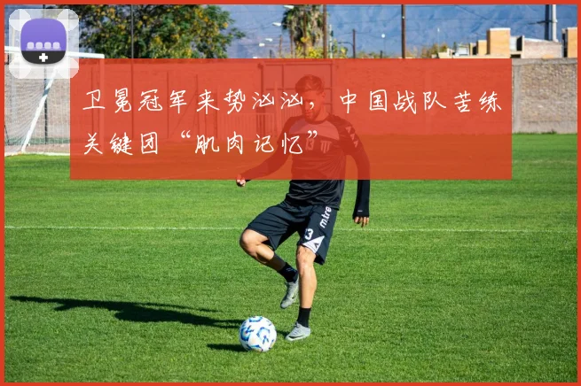 卫冕冠军来势汹汹，中国战队苦练关键团“肌肉记忆”