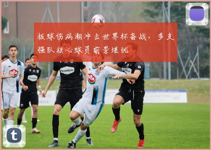 板球伤病潮冲击世界杯备战，多支强队核心球员前景堪忧